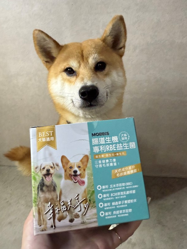 女人知己試用大隊,口碑行銷,部落客行銷,Moegis萌吉 腸道生機專利RBE益生菌,寵物益生菌,專利RBE益生元,專利蔬果酵素,小分子胜肽,藍藻粉,維持免疫力,幫助維持消化道機能,維持正常食慾,改變細菌叢生態,腸胃保健,犬貓適用